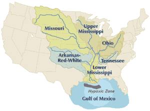 The Mississippi River drains the largest area of any U.S. river, much of it agricultural regions. Agricultural runoff and other water pollution that flows to the outlet is the cause of the hypoxic, or dead zone in the Gulf of Mexico.