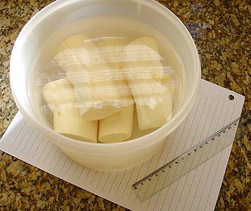 Cassava root, peeled and soaking