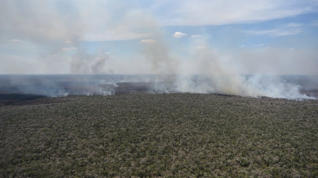 Wildfires in Brazil's indigenous territory, 2017