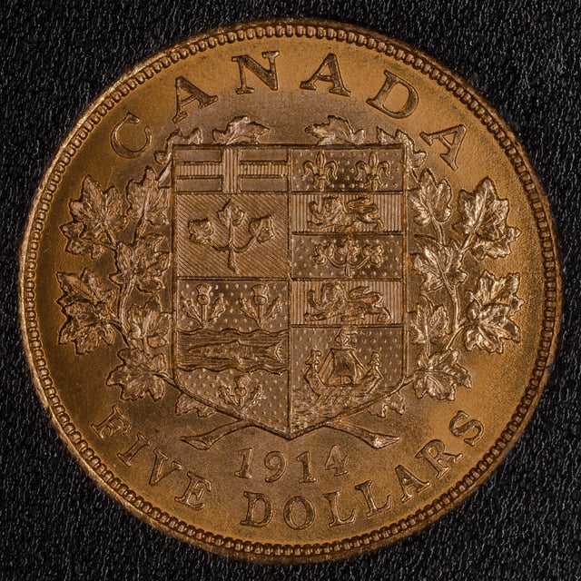 $5 gold Canadian coin from 1914. Reverse side shown depicting a shield with the arms of the Dominion of Canada. The coin weighs 8.36 grams and is 90% gold giving it 7.524 grams of gold. It has a diameter of 21.59 mm and a thickness of 1.82 mm at the rim.