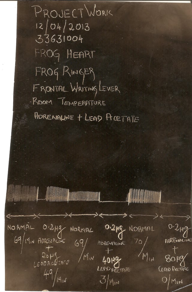 Kymographic recording of the effect of lead acetate on frog heart experimental set up.