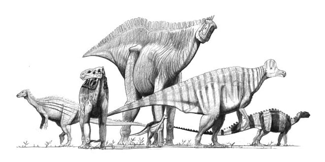 Restoration of six ornithopods; far left: Camptosaurus, left: Iguanodon, center background: Shantungosaurus, center foreground: Dryosaurus, right: Corythosaurus, far right (large) Tenontosaurus