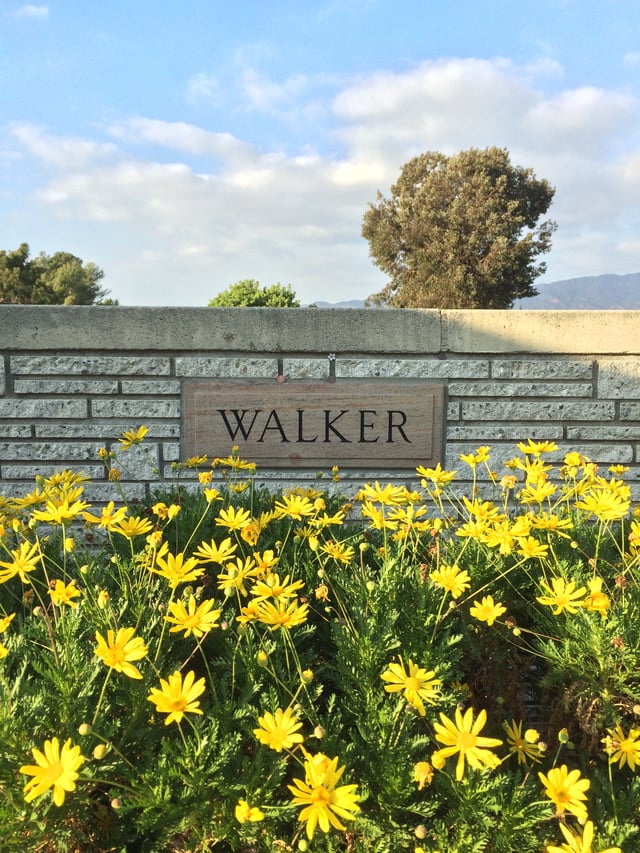 Grave of Paul Walker at Forest Lawn Hollywood Hills