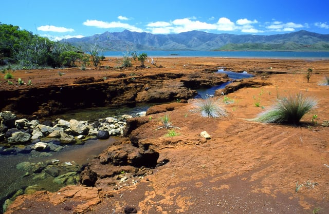 A creek in southern New Caledonia. Red colors reveal the richness of the ground in iron oxides and nickel.