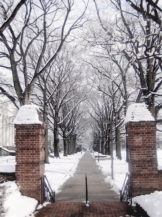 Campus walkway in the winter