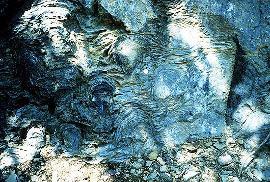 Stromatolites left behind by cyanobacteria are the oldest known fossils of life on Earth. This one-billion-year-old fossil is from Glacier National Park in Montana.