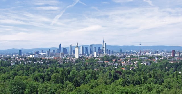 Frankfurt City Forest seen from Goethe Tower, Frankfurt's skyline in the background (2007)