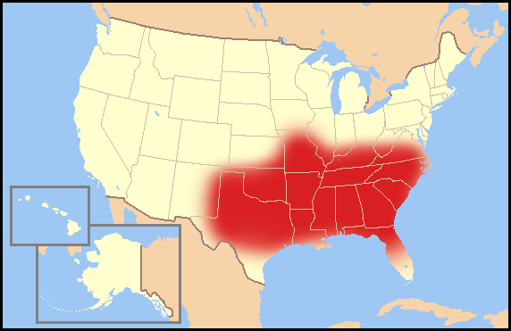 Socially conservative evangelical Protestantism plays a major role in the Bible Belt, an area covering almost all of the Southern United States. Evangelicals form a majority in the region.