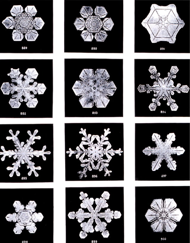 Snowflakes by Wilson Bentley, 1902.