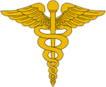 The traditional U.S. Army version of the caduceus. The 1902 adoption of this ancient symbol of the Greek god Hermes for U.S. Army medical officer uniforms popularized it throughout the world.