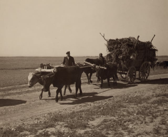 Assyrian refugees on a wagon moving to a newly constructed village on the Khabur River in Syria.