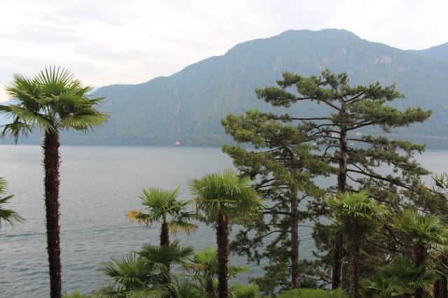 Palms and maritime pines on the shores of Lake Como
