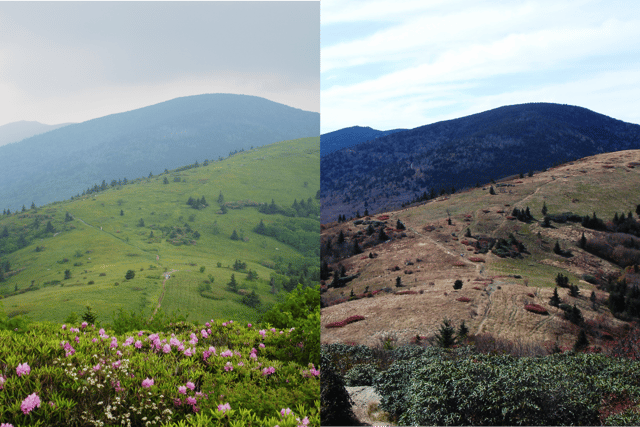 View of the Roan Highlands in Spring and Autumn.