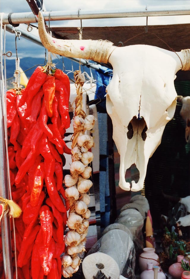 Symbols of the Southwest: a string of dried chile pepper pods (a ristra) and a bleached white cow's skull hang in a market near Santa Fe