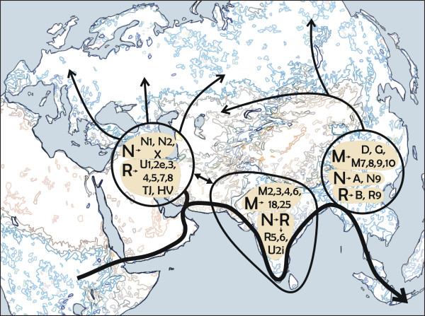 According to the Coastal hypothesis, modern humans spread from Africa along the northern rim of the Indian Ocean.
