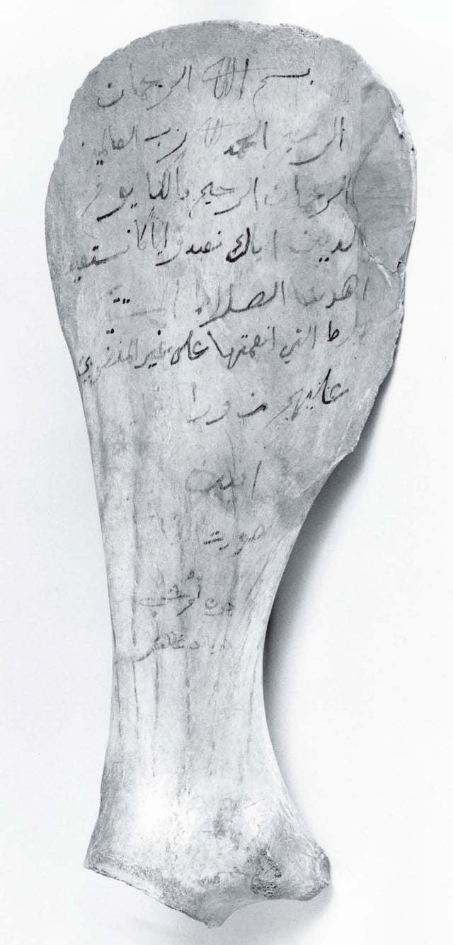 Quranic verse calligraphy, inscribed on the shoulder blade of a camel with inks