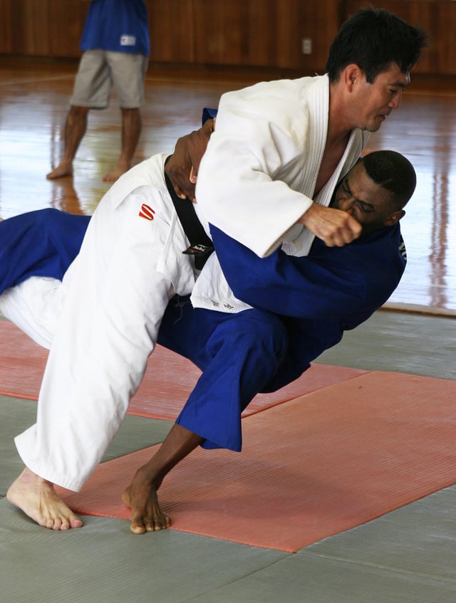 Several martial arts, such as judo, are Olympic sports.