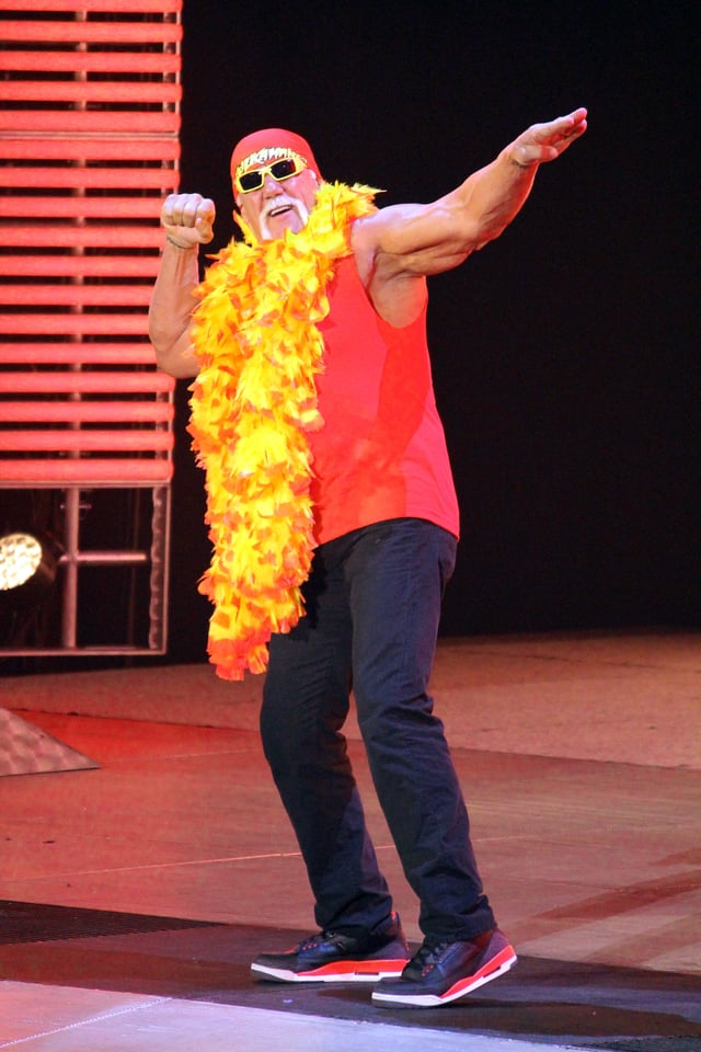 Hogan on Raw in 2014