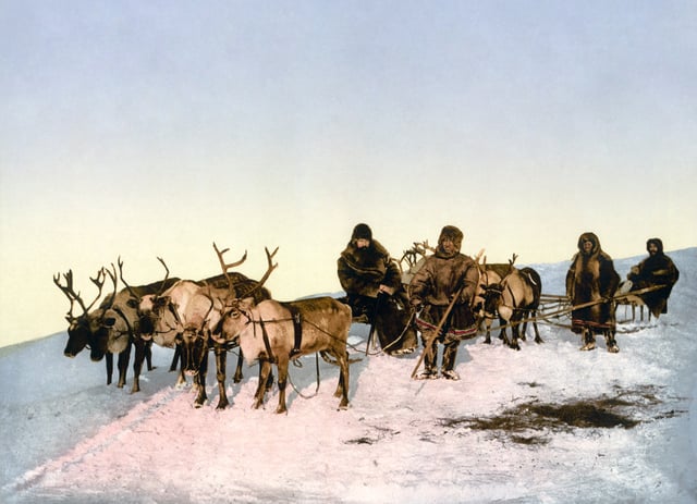 A reindeer sled, Arkhangelsk, Russia. Late nineteenth-century photochrom