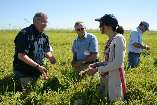 US Food and Drug Administration officials at a rice farm in California