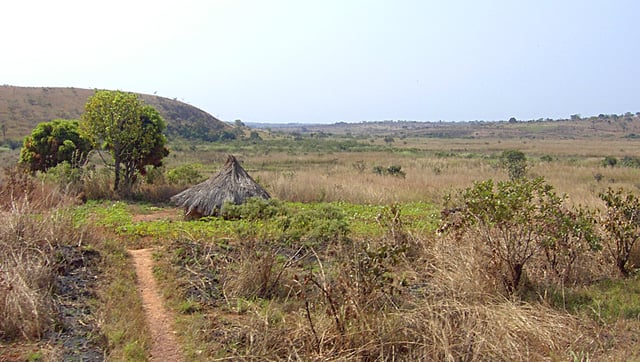 Countryside near Ngaoundal in Cameroon's Adamawa Region.