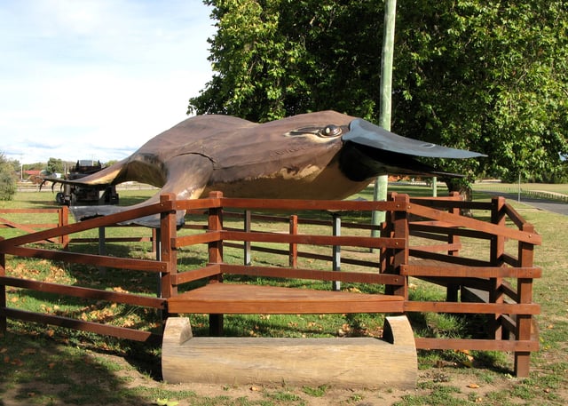 Big Platypus at the Australian Axeman's Hall of Fame