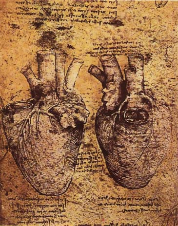 Heart and its blood vessels, by Leonardo da Vinci, 15th century