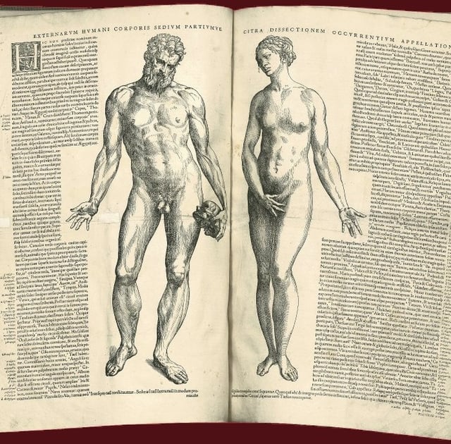 Two facing pages of text with woodcuts of naked male and female figures, in the Epitome by Andreas Vesalius, 1543