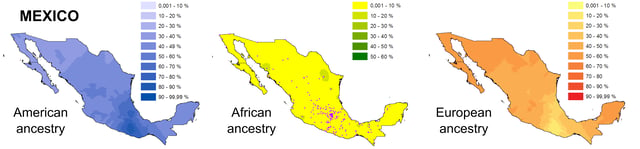 Regional Variation of ancestry according to a study made by Ruiz-Linares in 2014, each dot represents a volunteer, with most coming from south Mexico and Mexico City.