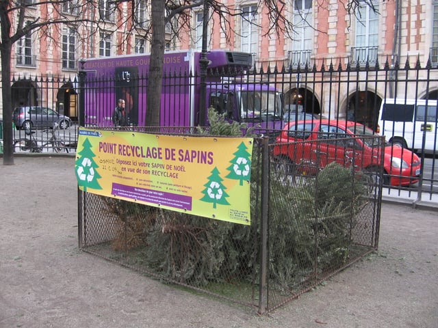 Christmas tree recycling point (point recyclage de sapins) in Paris, 22 January 2010