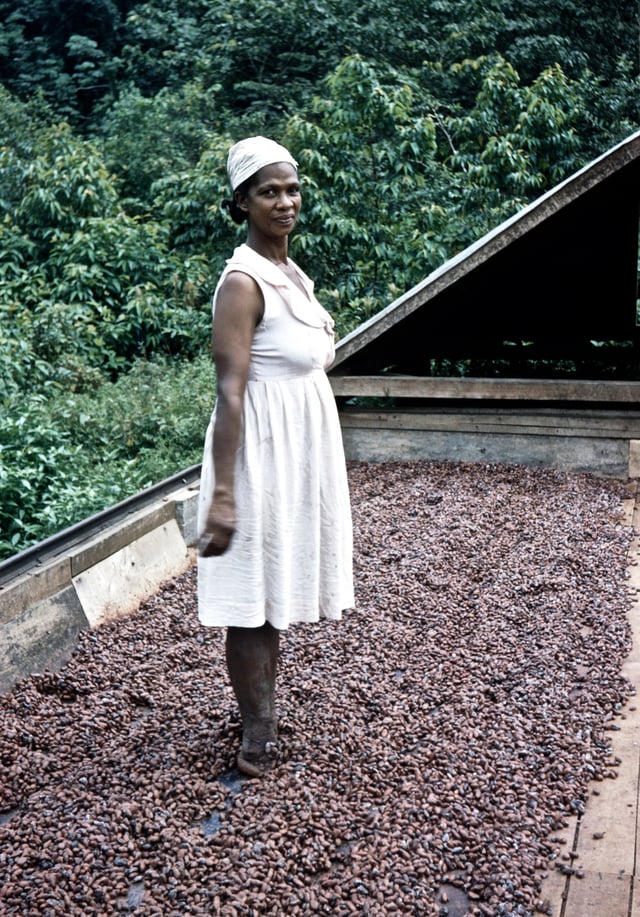 "dancing the cocoa", El Cidros, Trinidad, c. 1957