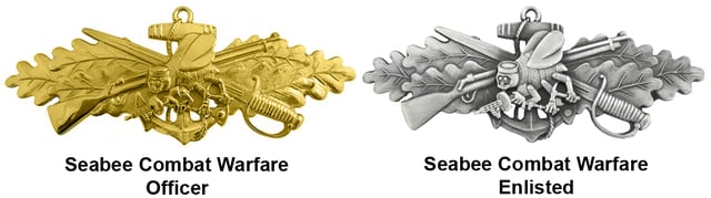 SCW insignia: officer and enlisted