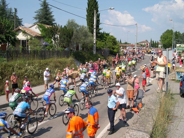 A collected peloton in the 2006 Tour de France