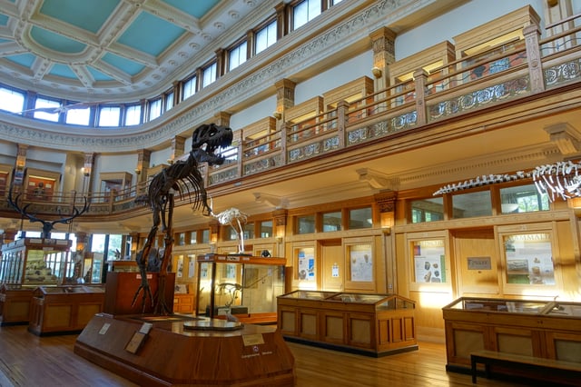 The interior of the Redpath Museum