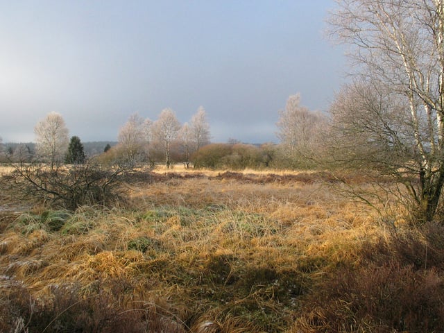 High Fens landscape near the German border.