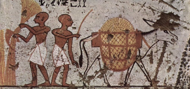 Donkey in an Egyptian painting c. 1298–1235 BC