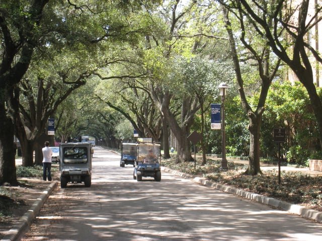 A view along the inner loop, with three of the university service personnel's traditional golf carts in view