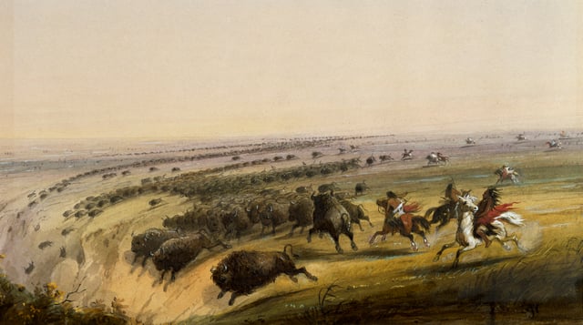American bison being chased off a cliff as seen and painted by Alfred Jacob Miller, c. 1860