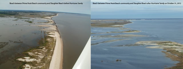 Before and after image of flooding caused by Hurricane Sandy at Prime Hook National Wildlife Refuge