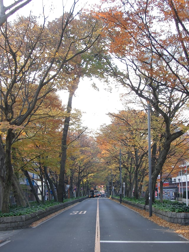 Baba Daimon Keyaki avenue