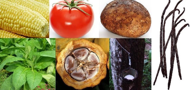 Native New World crops exchanged globally: maize, tomato, potato, vanilla, rubber, cacao, tobacco