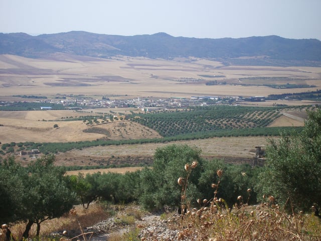 View of the central Tunisian plateau at Téboursouk