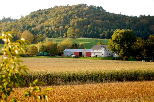 A farm in Grafton. Agriculture remains an important sector of the economy in the Annapolis Valley.