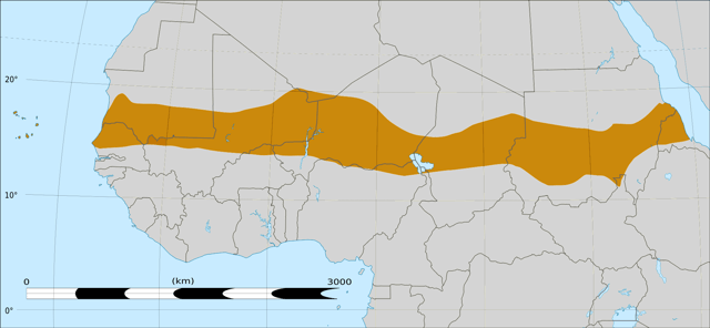 Affected areas in the western Sahel belt during the 2012 drought.