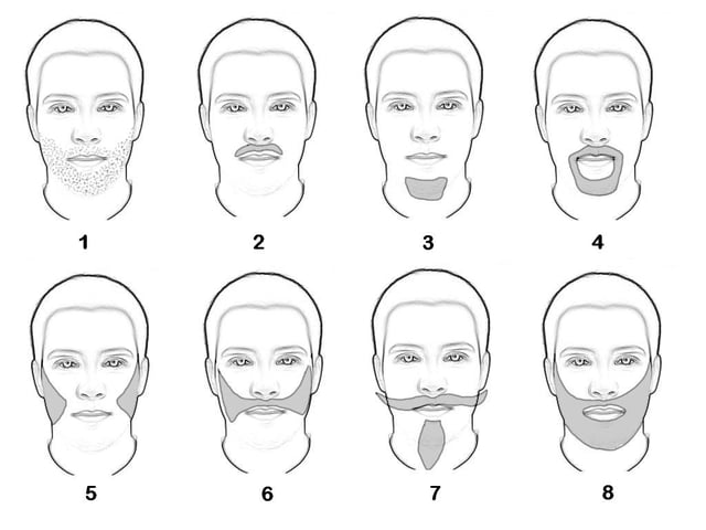 Different types of beards : 1) Incipient 2) moustache 3) goatee or Mandarin 4) Anglo style 5) long sideburns 6) sideburn joined by his mustache 7) Style Van Dyke 8) full beard.