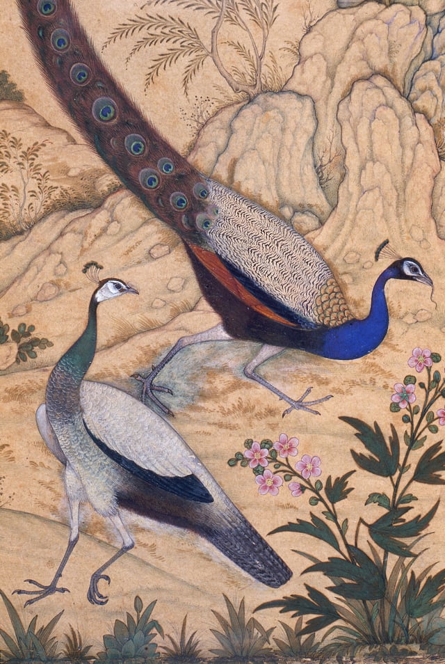 Illustration by the 17th century Mughal artist Ustad Mansur