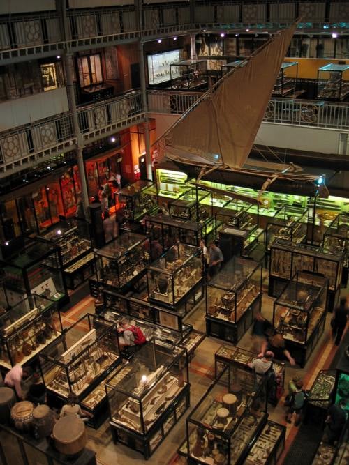 The interior of the Pitt Rivers Museum