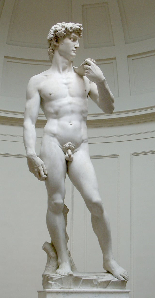 Michelangelo's David