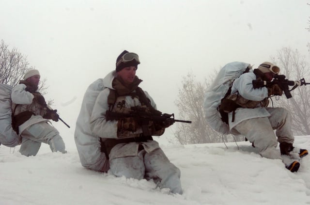 IDF Alpinist Unit dispatched to Mount Hermon