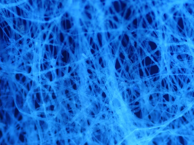 The microscopic structure of paper: Micrograph of paper autofluorescing under ultraviolet illumination. The individual fibres in this sample are around 10 µm in diameter.